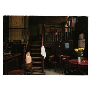 Vintage 1995 Postcard With Cat In Old Cafe Scene 1985 Old Glory Stamp San Jose